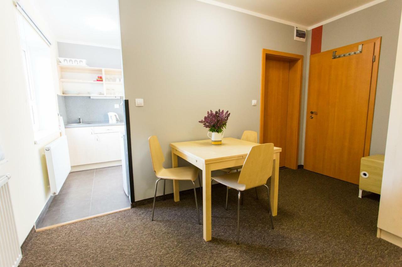 Loučná pod KlínovcemFerienhaus Iva - Klinovec公寓式酒店 外观 照片