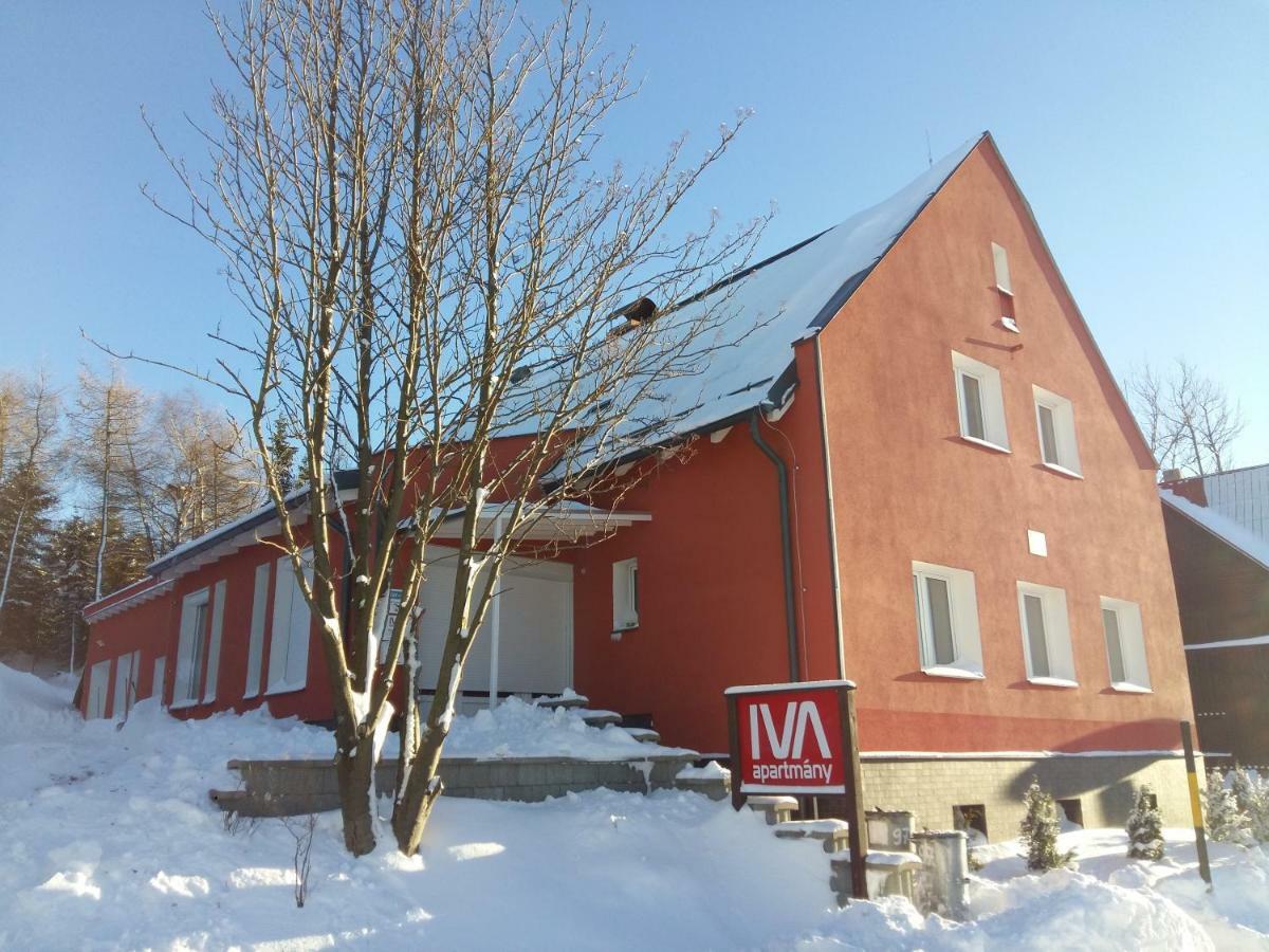 Loučná pod KlínovcemFerienhaus Iva - Klinovec公寓式酒店 外观 照片